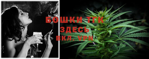тгк Абаза