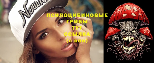 тгк Абаза